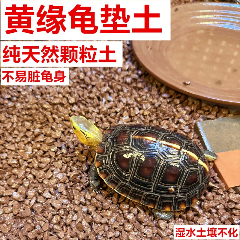乌龟缸造景专用垫材黄缘龟安缘龟爬宠陆龟垫天然红土颗粒土