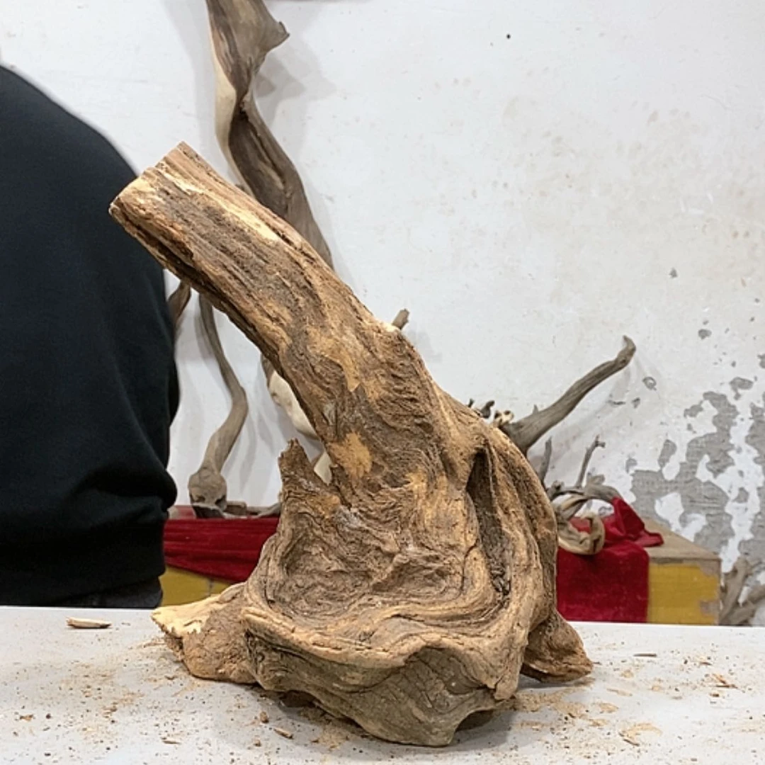 【闪购商品】柏木木****店我们都是好孩子