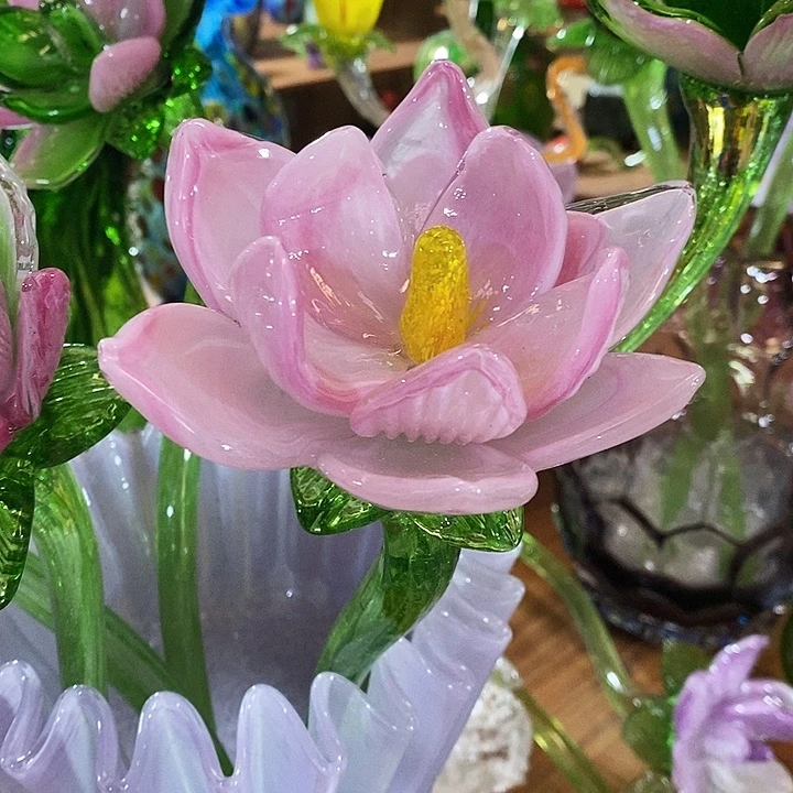 荷花高45厘米宽12厘米