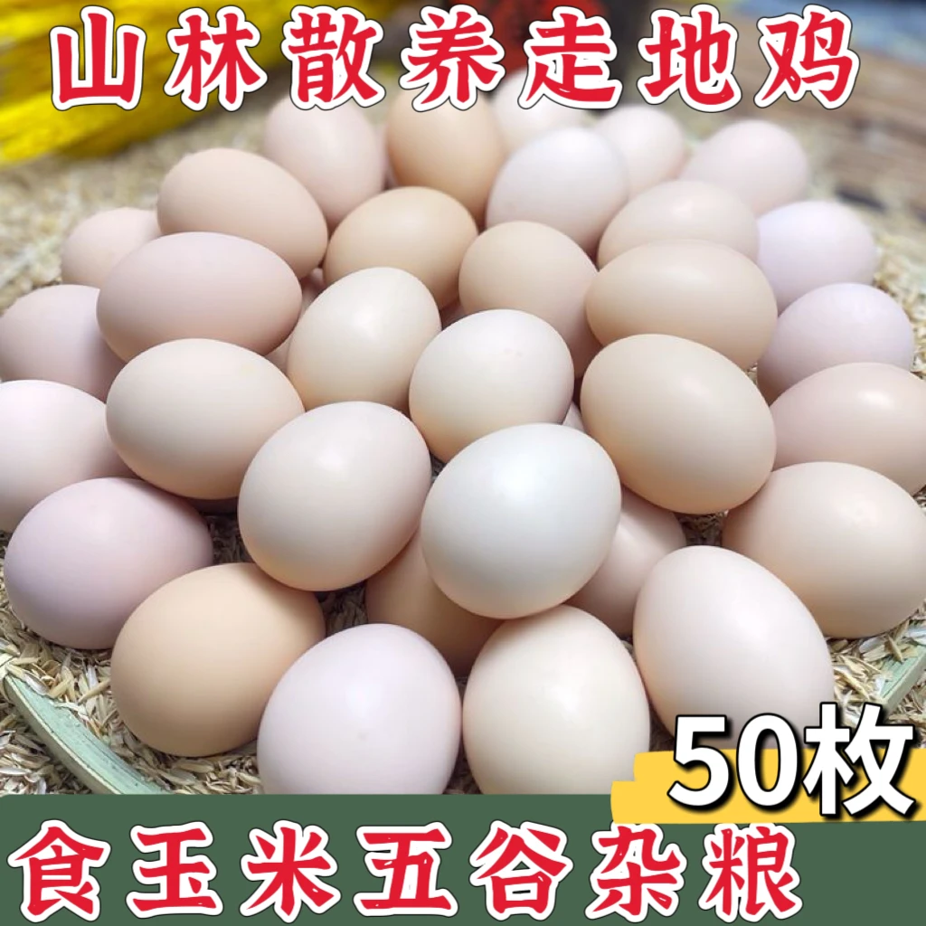 正宗农家散养土鸡蛋新鲜土鸡蛋儿童孕妇营养蛋当天鲜蛋现捡先发