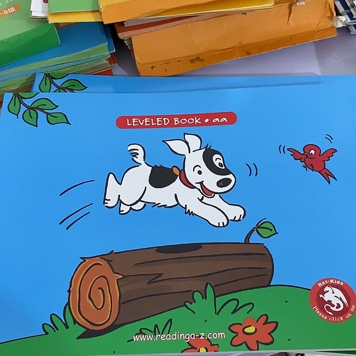 LEVELED BOOK   aa级
