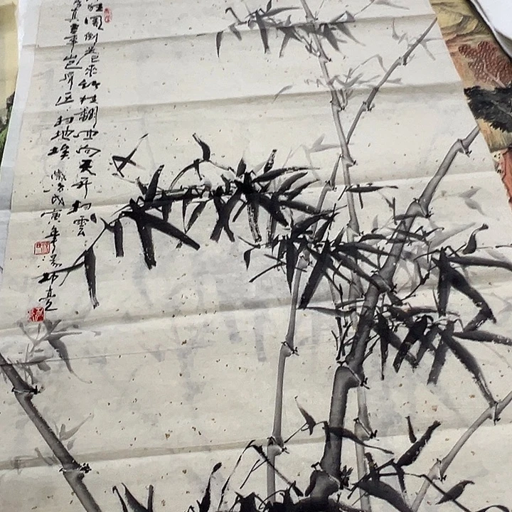 横款新号开播福利多多