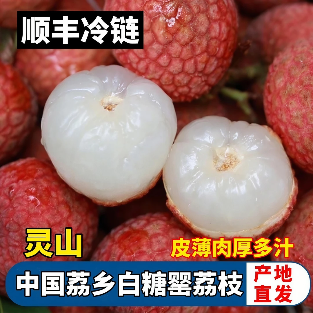 【精】广西荔乡灵山白糖罂荔枝新鲜当季水果皮薄肉厚清甜