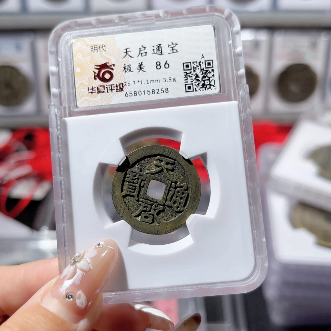 金天启通宝。8258。86。288。Ｌ