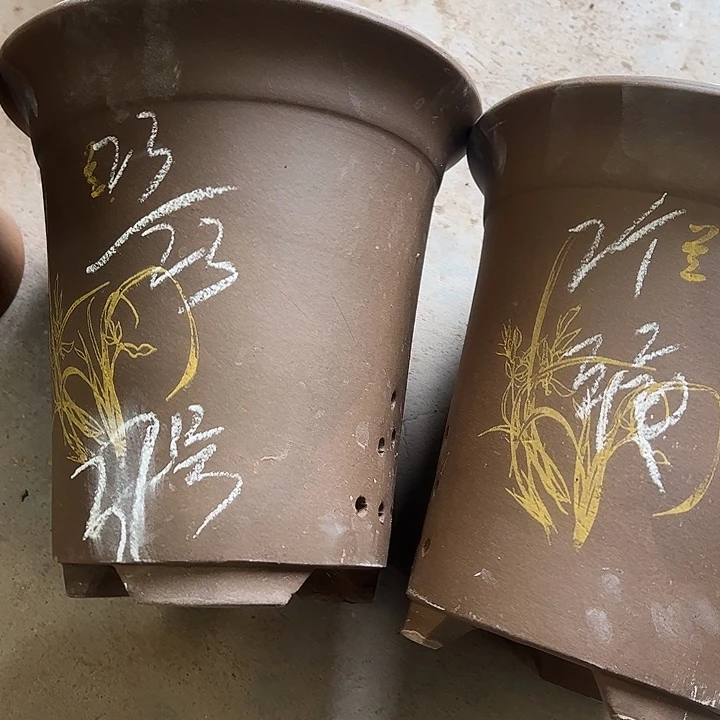 37…………………………………………………………