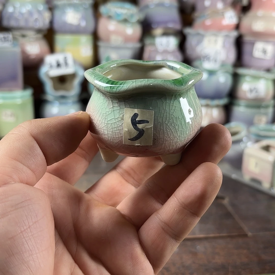 量货/口高深浅搭配发6