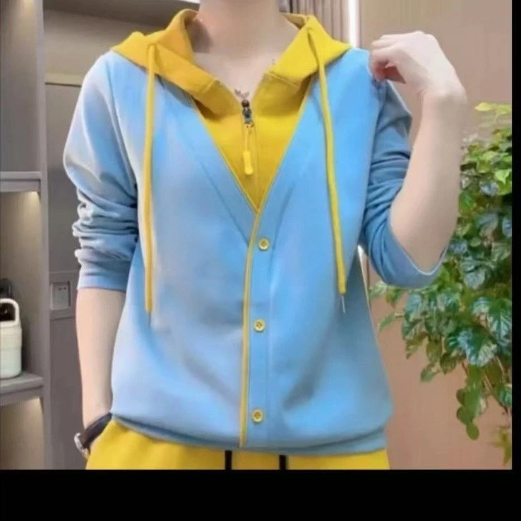 时尚连帽2025卫衣洋气春季新款休闲减龄双面磨毛保暖长袖打底上衣