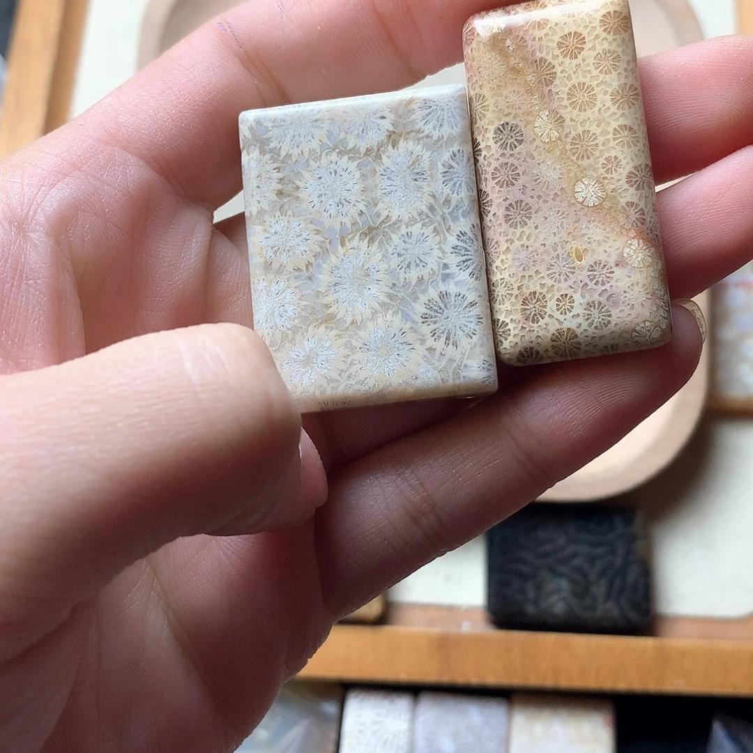 硅化珊瑚（珊瑚玉）颈饰未镶嵌元*