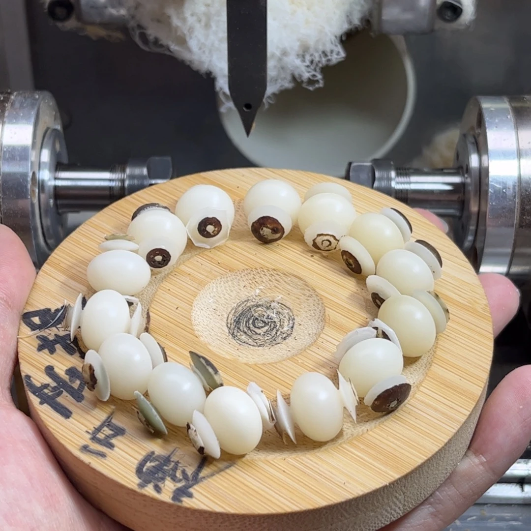 吊坠菩提根/象牙果14算盘