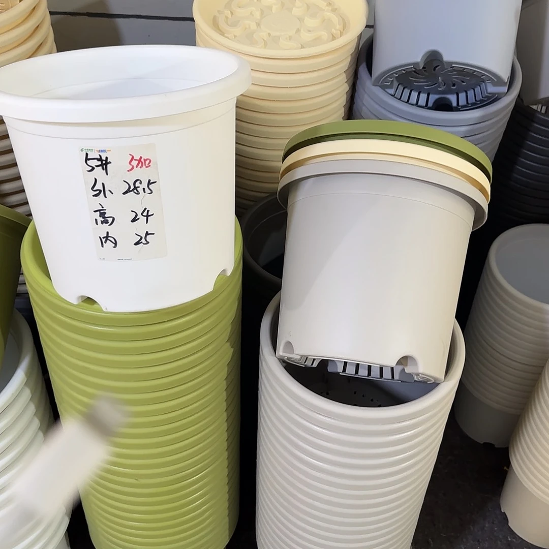 微瑕5号6个无托，灰白