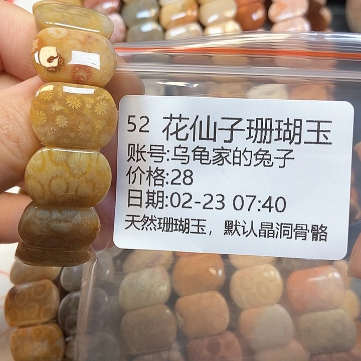 硅化珊瑚（珊瑚玉）手镯未镶嵌乌****子52