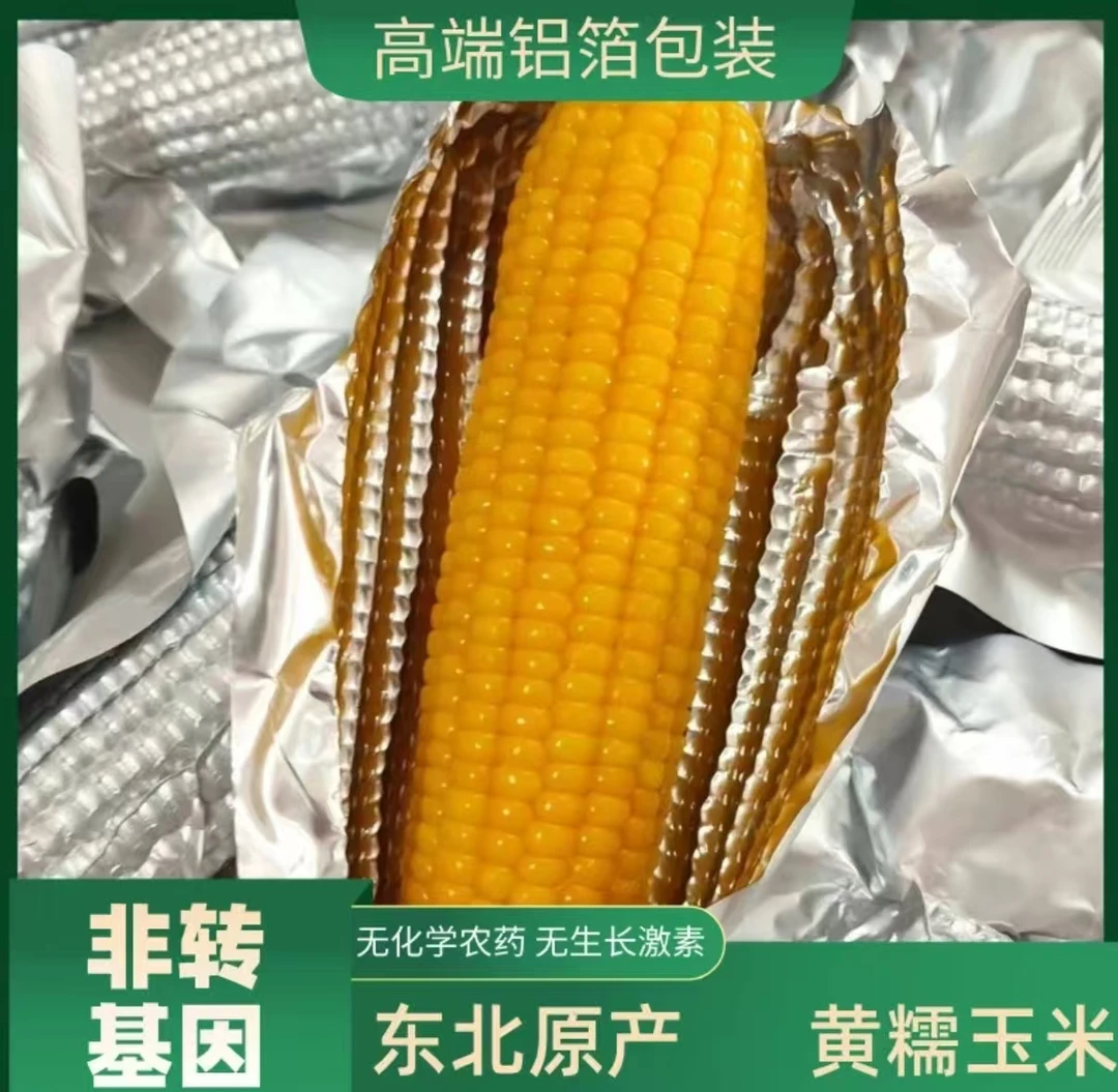 【铝箔10根大果】东北黄糯玉米甜糯软香甜5.5-6斤｛试吃两根｝