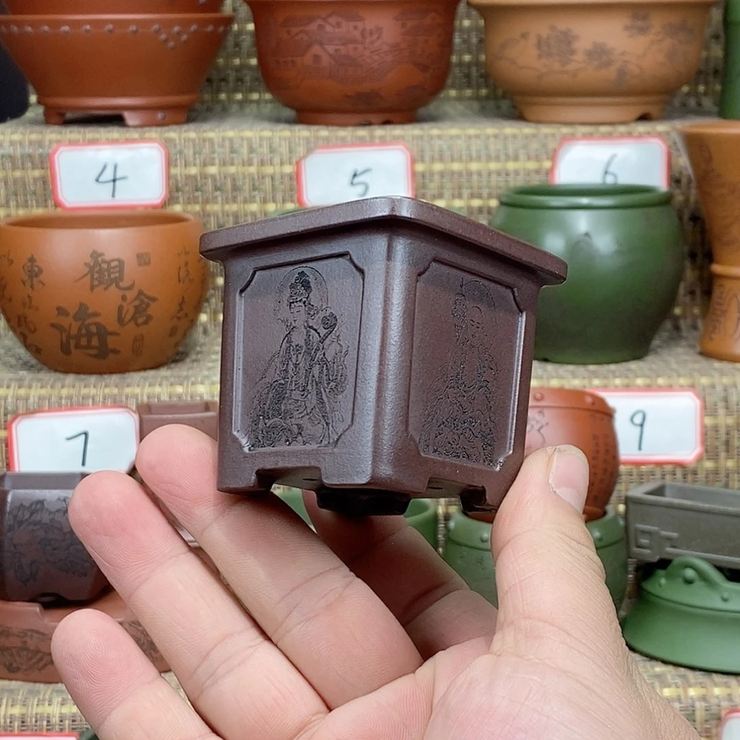 紫砂花盆在外面玩