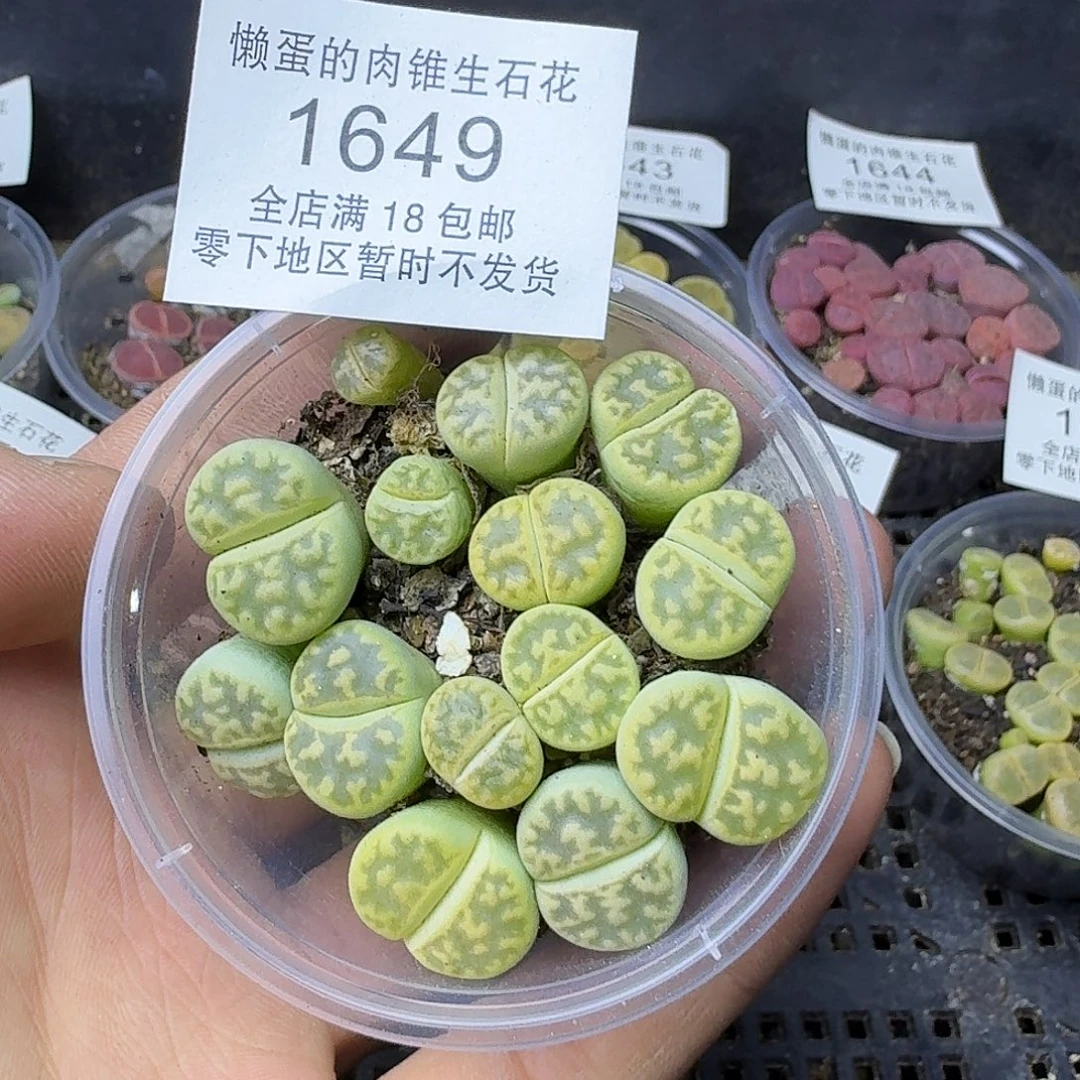 1649 哈哈哈哈哈哈哈哈