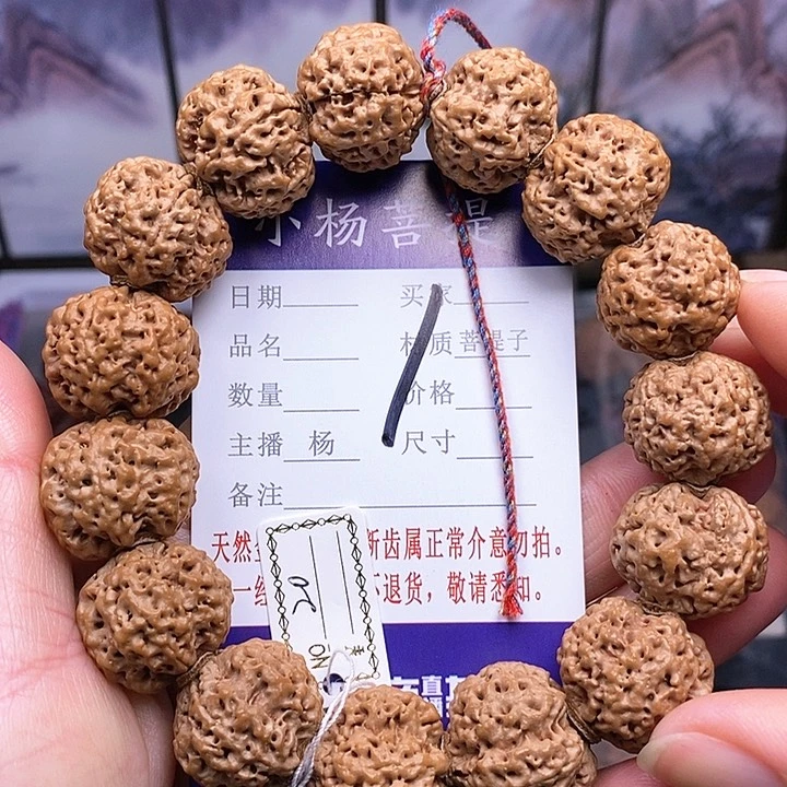 手串金刚菩提20双龙