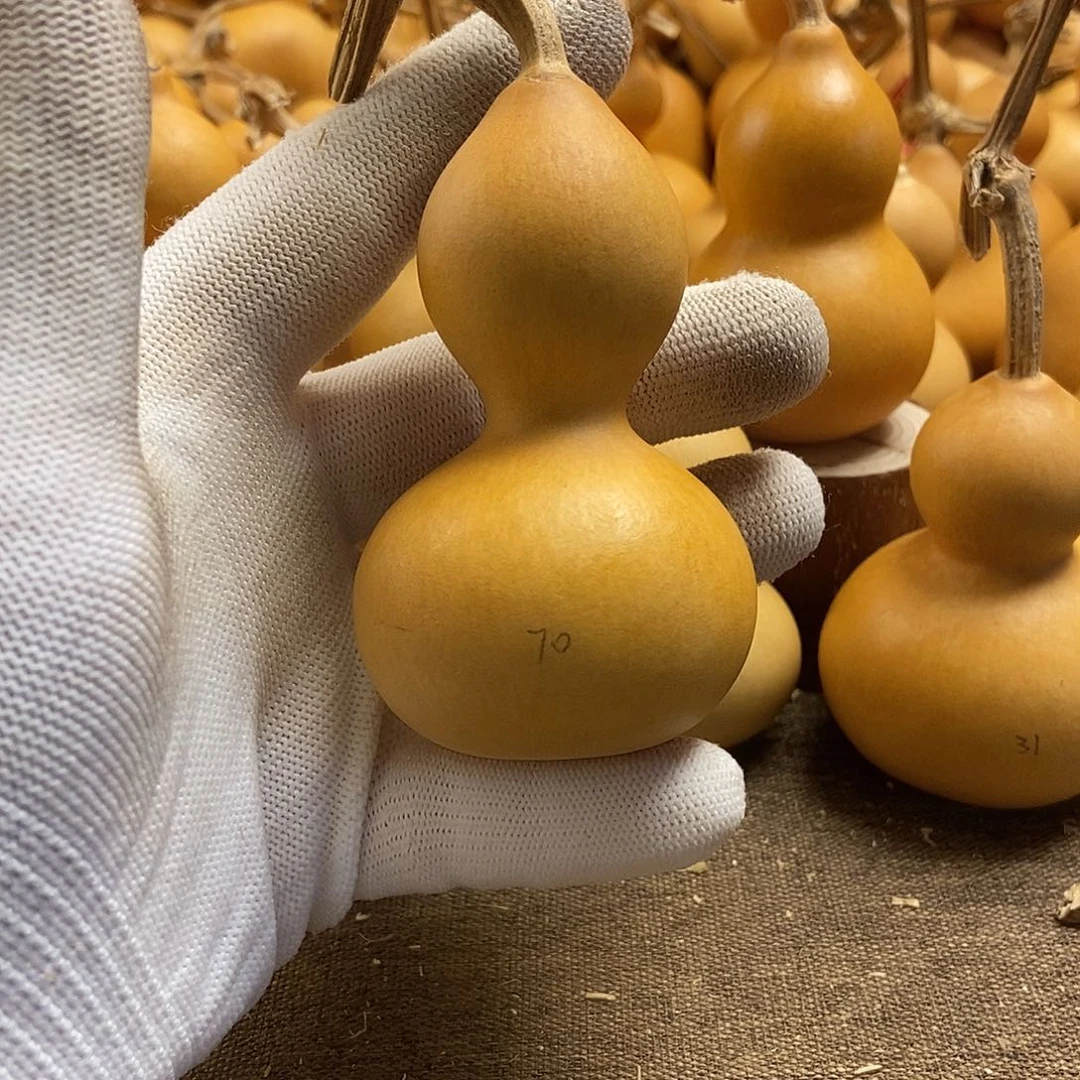 文玩葫芦 完美主义者 慎拍70