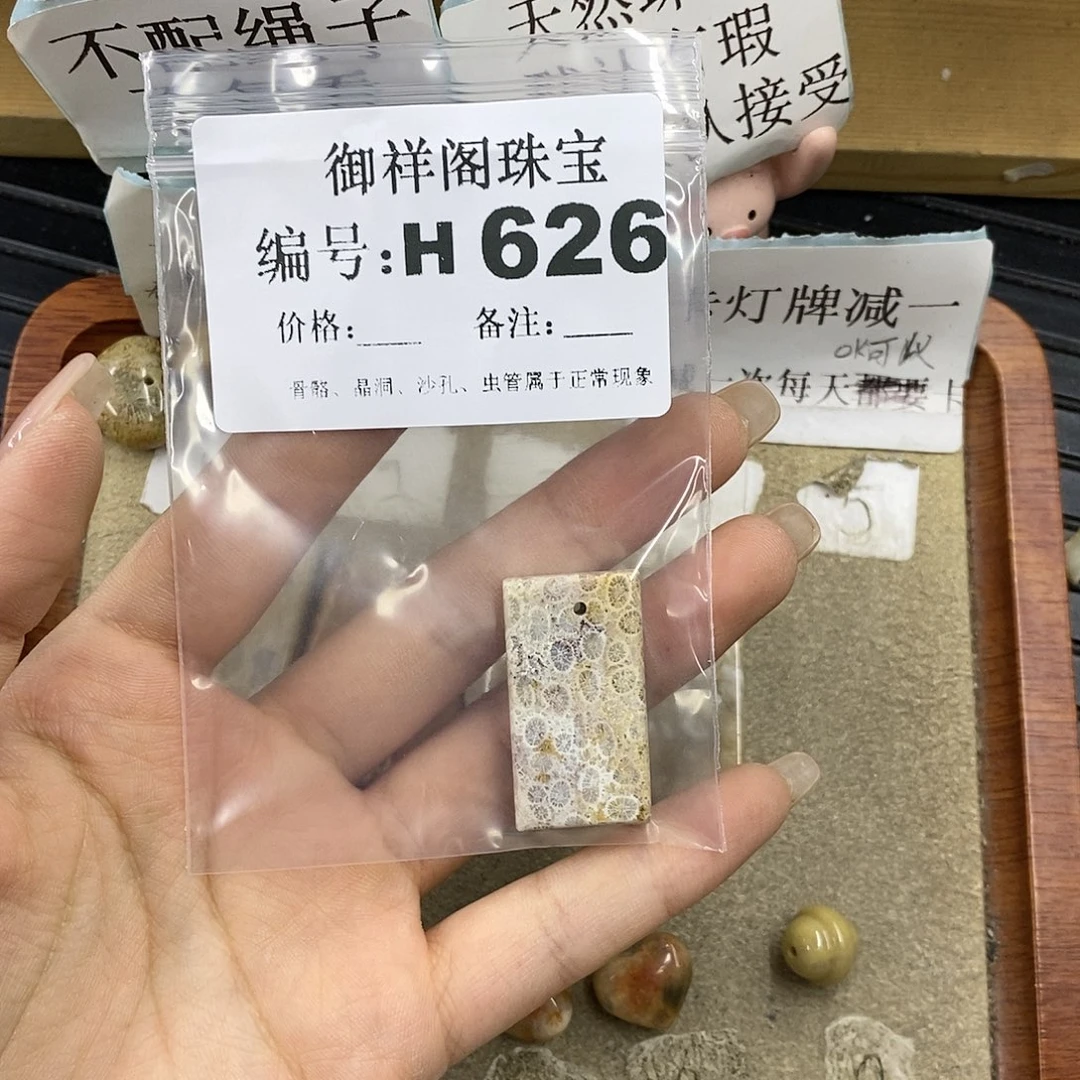 硅化珊瑚（珊瑚玉）未镶嵌颈饰家*