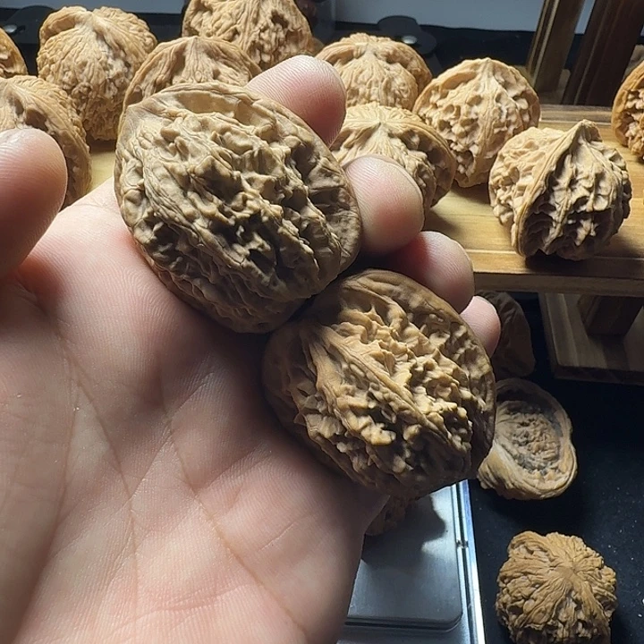 大***花39全品无修原装虎头