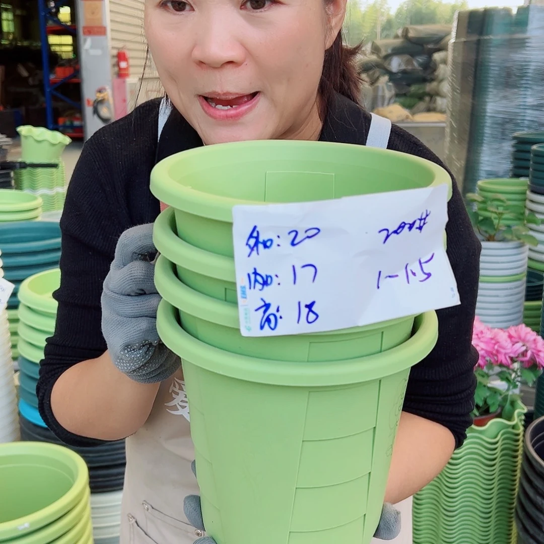 玫瑰200#果绿色5个无托