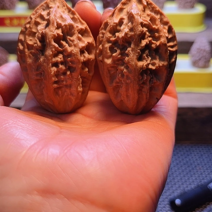 核桃16号车放漏漏漏咯宇漏