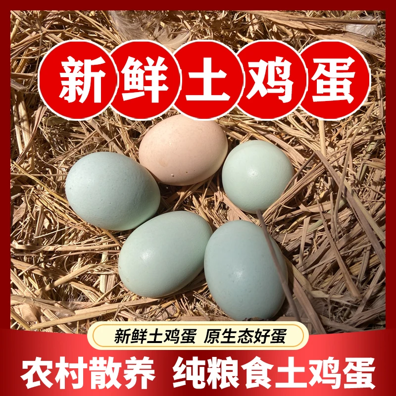 农村新鲜土鸡蛋农家散养绿壳鸡蛋纯粮正宗食草鸡蛋笨鸡蛋富硒鸡蛋