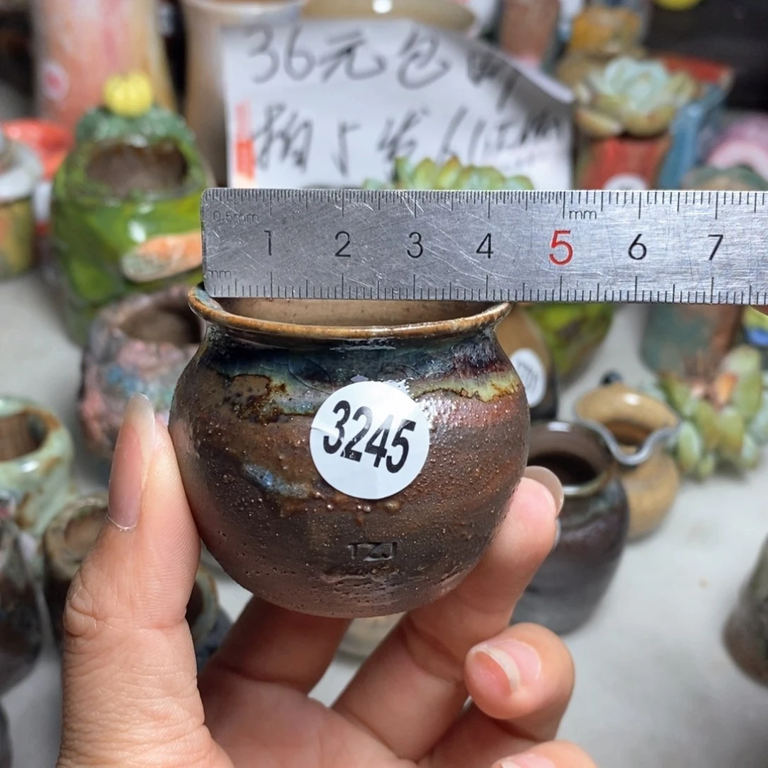 拍5送一个小礼物