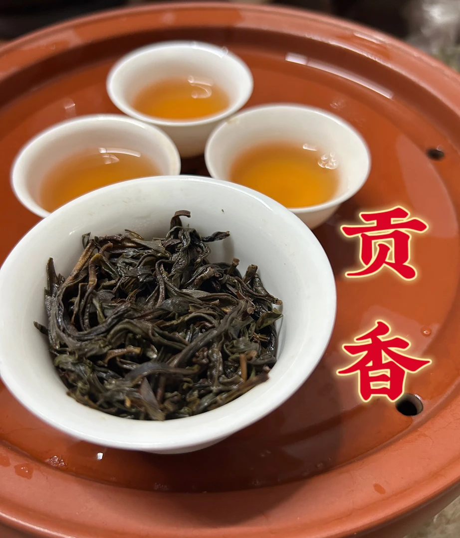【头春老枞贡香】高香型稀缺品种凤凰单枞茶回甘型