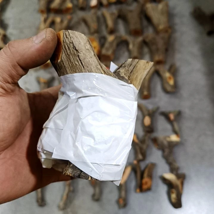 8***人香榧木崖柏原叉崖柏原叉崖柏原叉