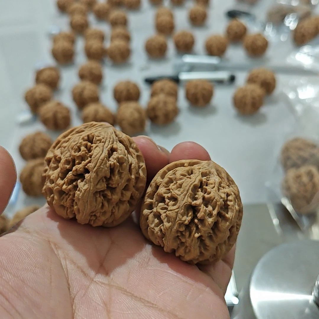 文玩核桃吊坠全品大粗筋