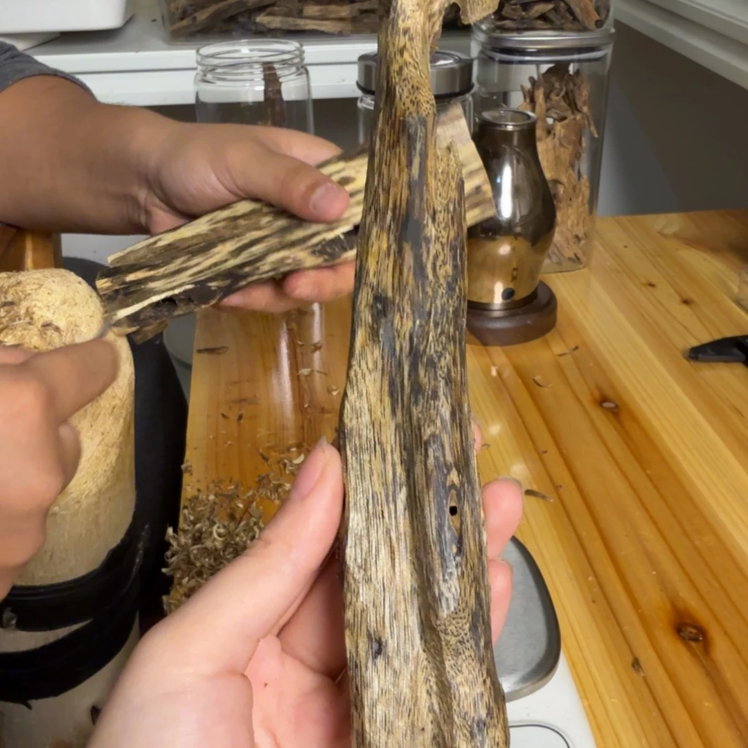 沉香白奇虫漏香33克