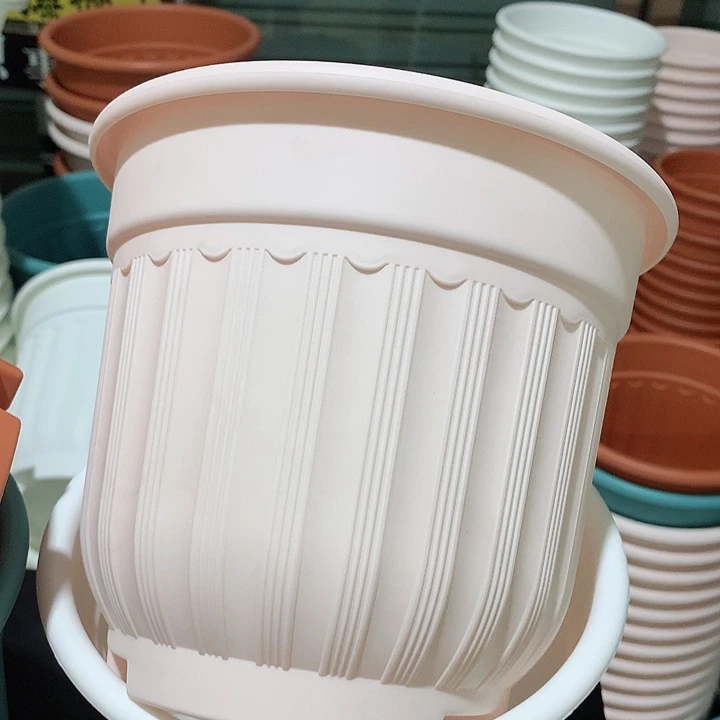 罗马口21粉4个无托