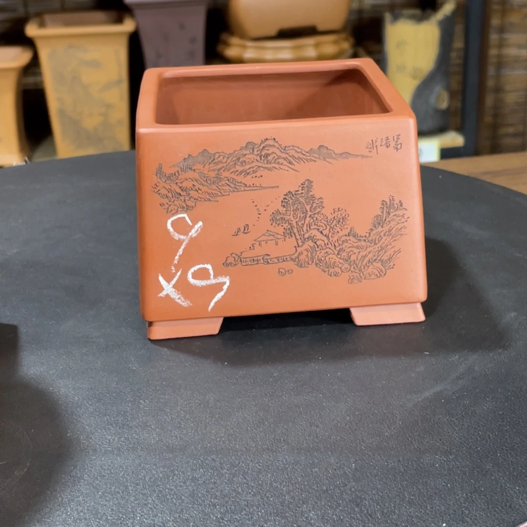 紫砂花盆在哪都要