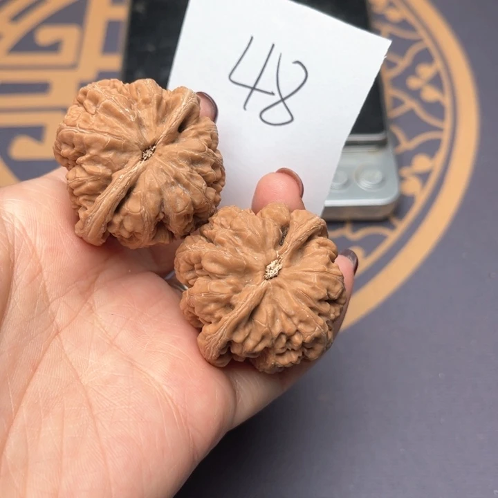 文玩核桃把件39大粗筋