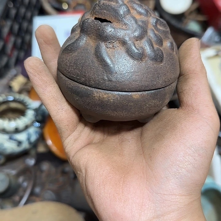 经**鸽一物一图，看好在拍