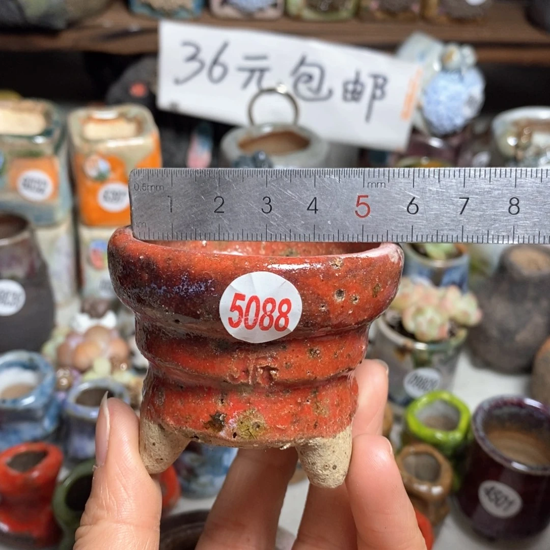 花盆拍3送个9·9的盆，拍5送同款