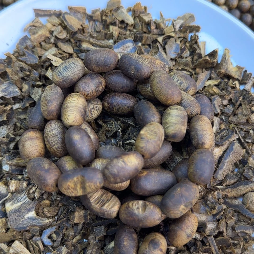 沉香碎屑沉香1.2留疤42克沉香