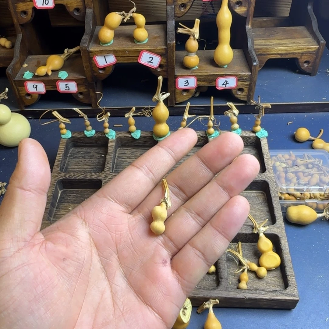 屿*见我是一只小小鸟地域鬼的人生态度