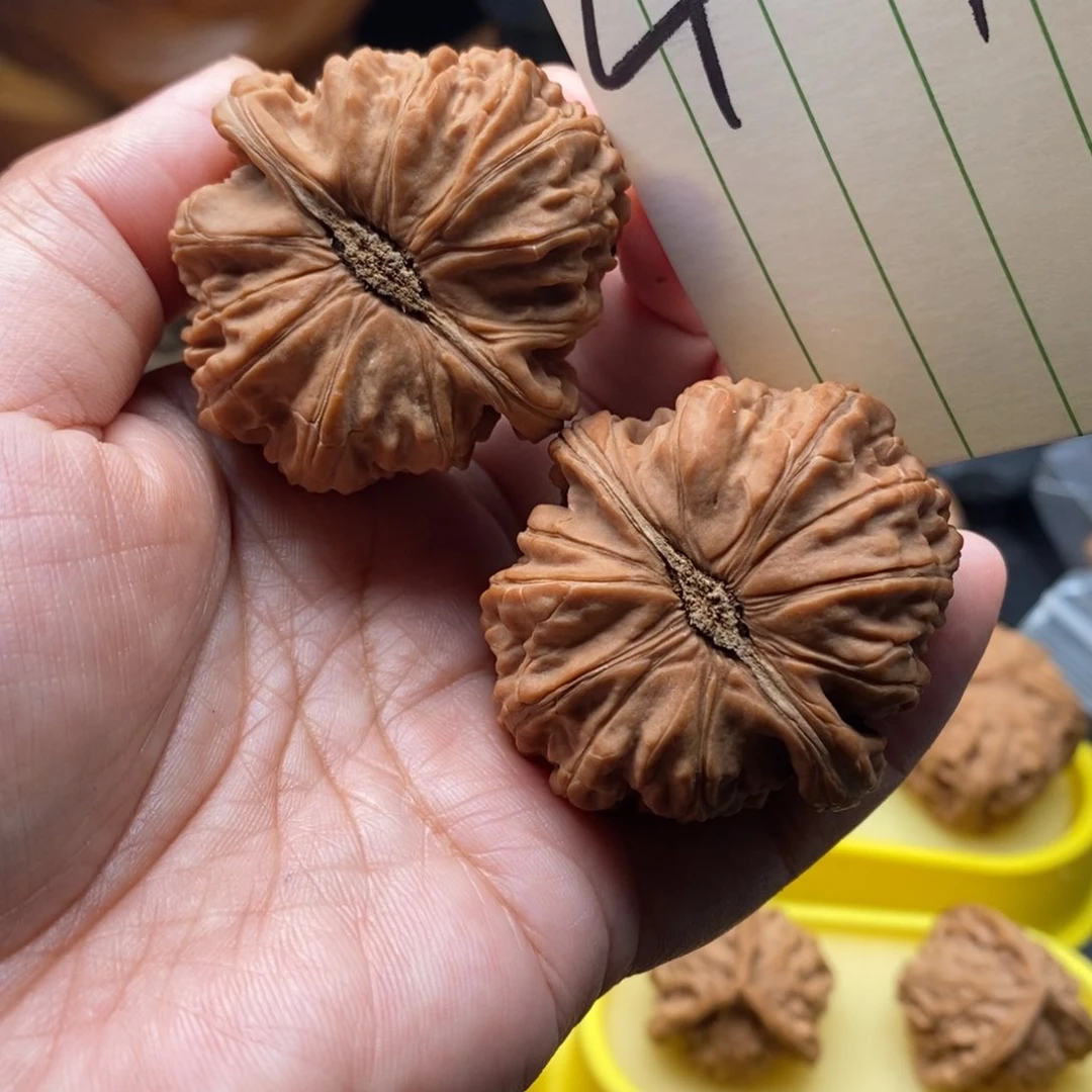 文玩核桃吊坠大球白肚46边44
