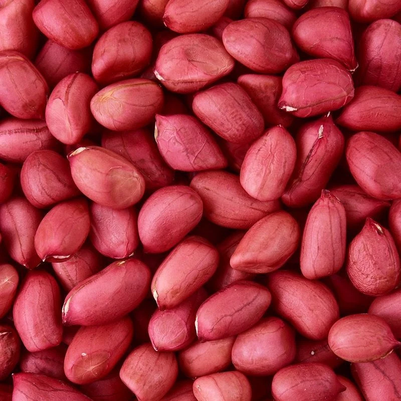 A农村红皮花生米四粒红花生米红花生米现货现发农户直发