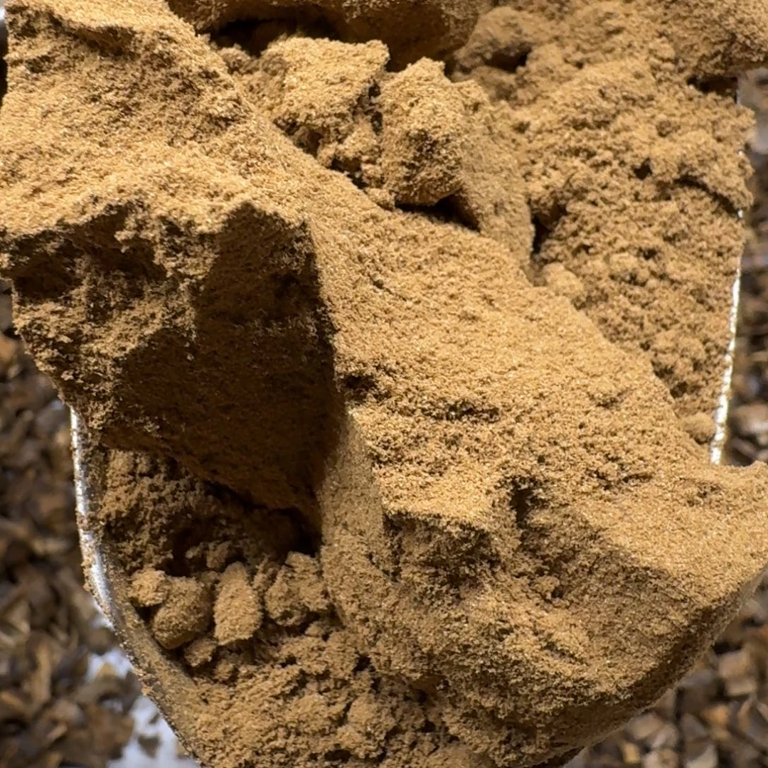 沉香碎屑沉香奇楠沉香白奇粉100克