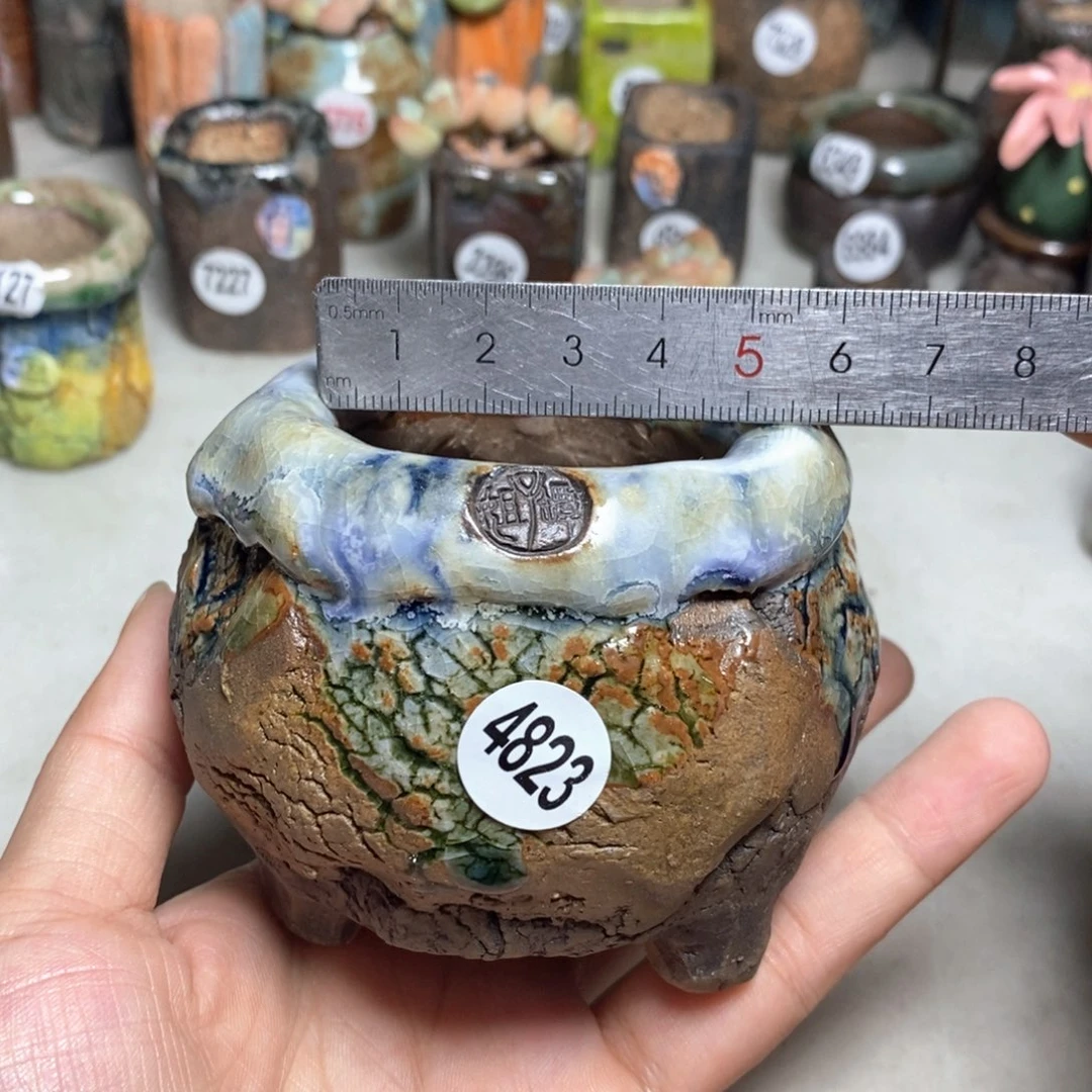 拍3送一个小礼物