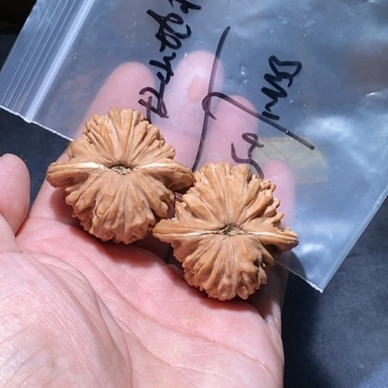 【闪购商品】吊坠文玩核桃