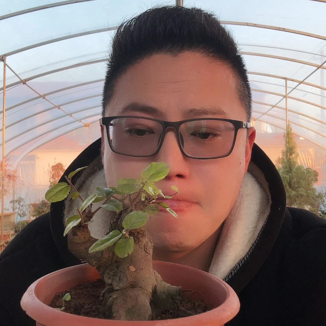 当前无花朵，栽培后可花朵