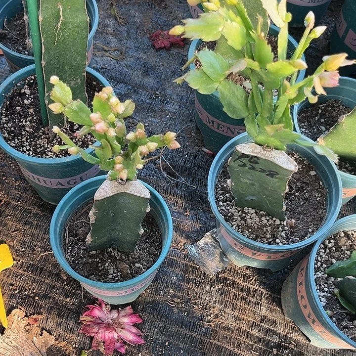 来***水54号028，111111111