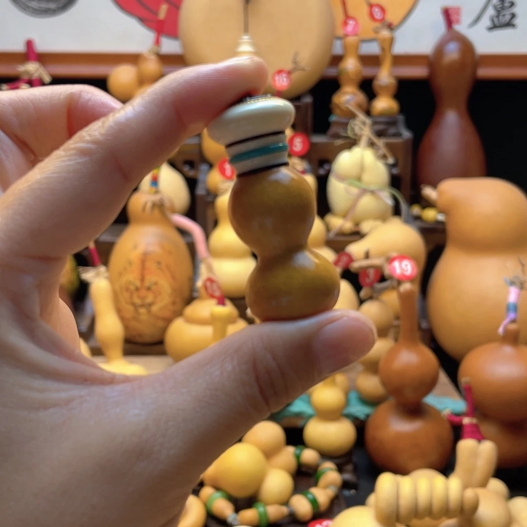 面*歪大自然的秘密第十一节的