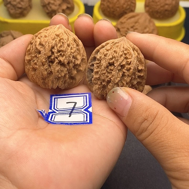 文玩核桃把件36尺137