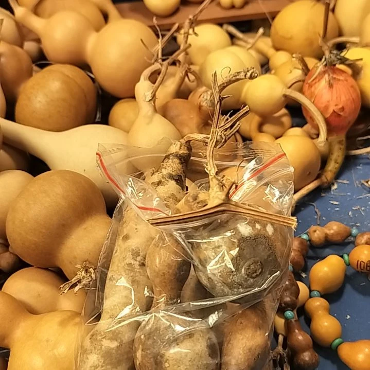 直播间专供链接葫芦