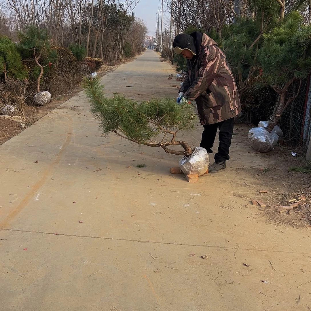 荣**林8888888888888888