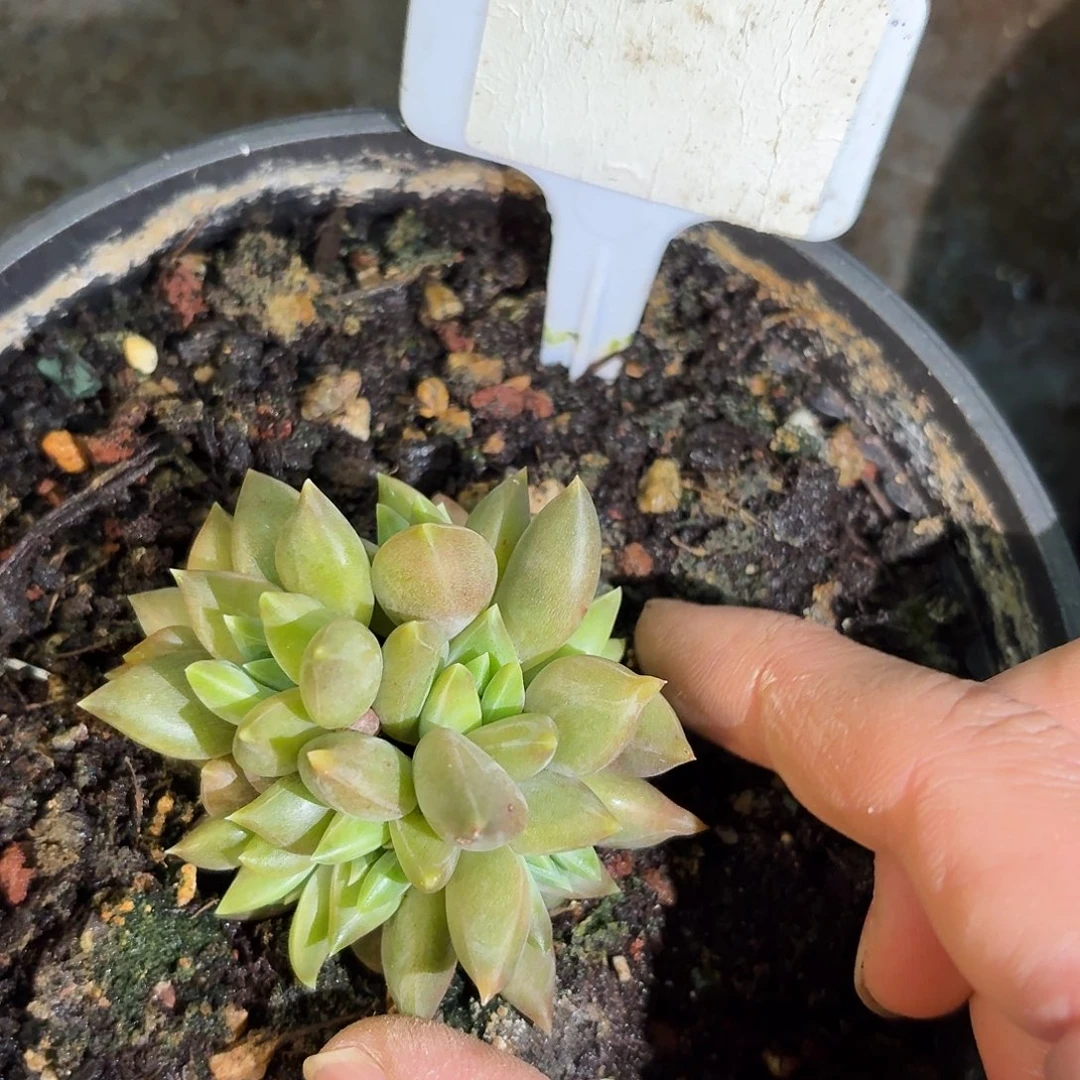 牵手888888888888888