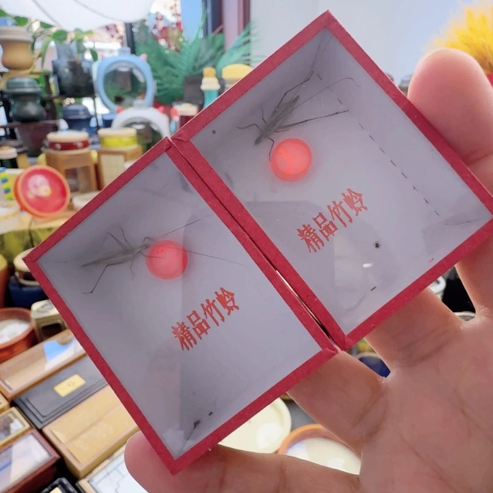 紫竹连口2只啊啊啊啊啊啊